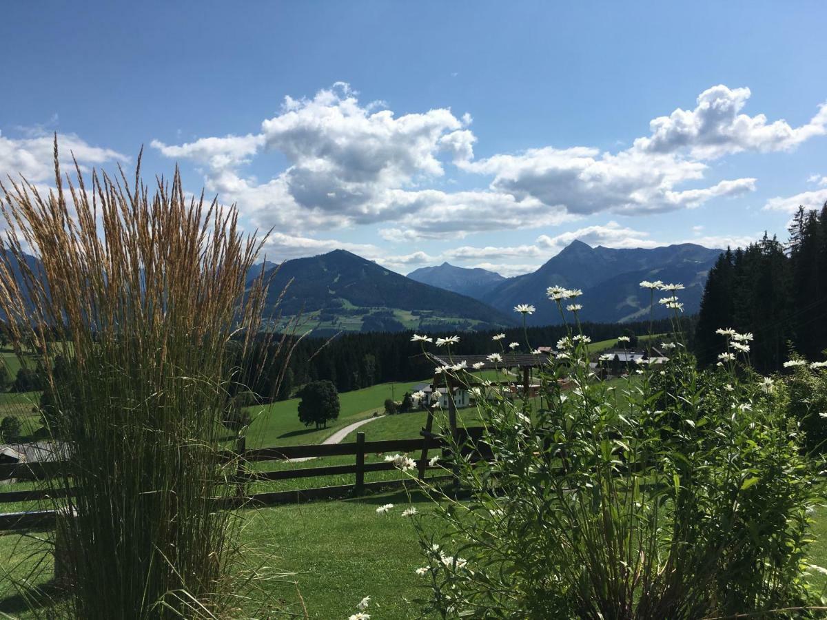 Haus Sonnleitner Daire Ramsau am Dachstein Dış mekan fotoğraf